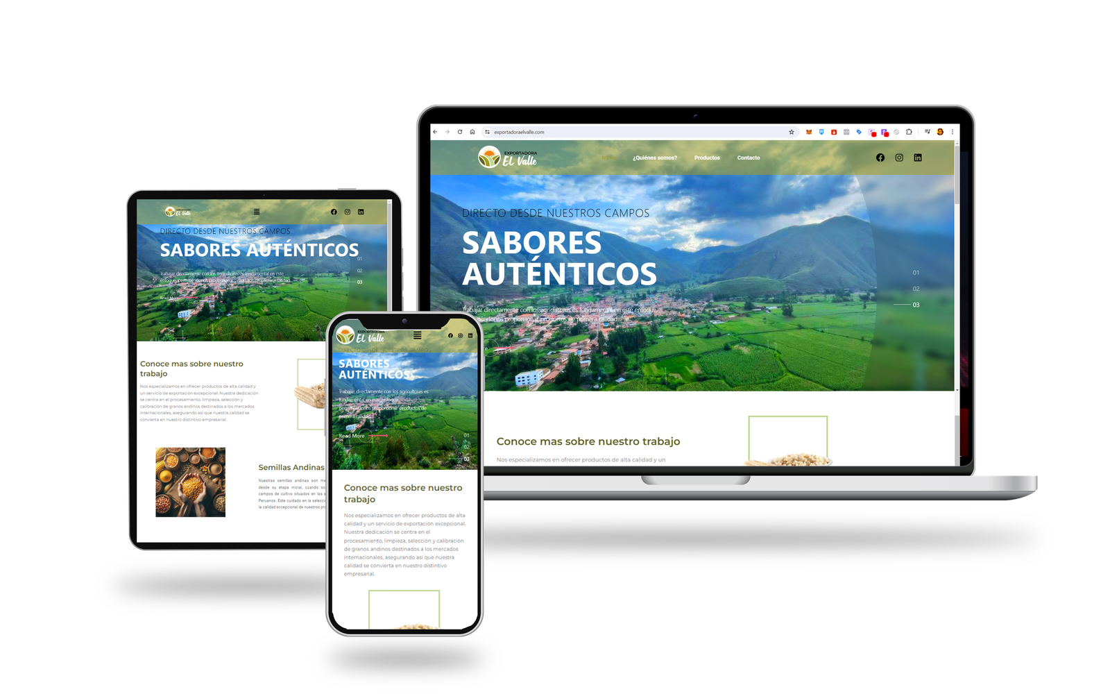 Web Design 03